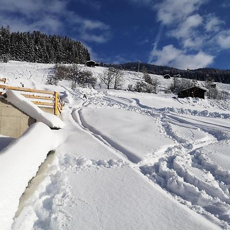 Appartement Franz Zell am Ziller Eksteriør billede