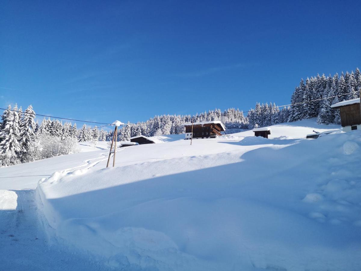 Appartement Franz Zell am Ziller Eksteriør billede