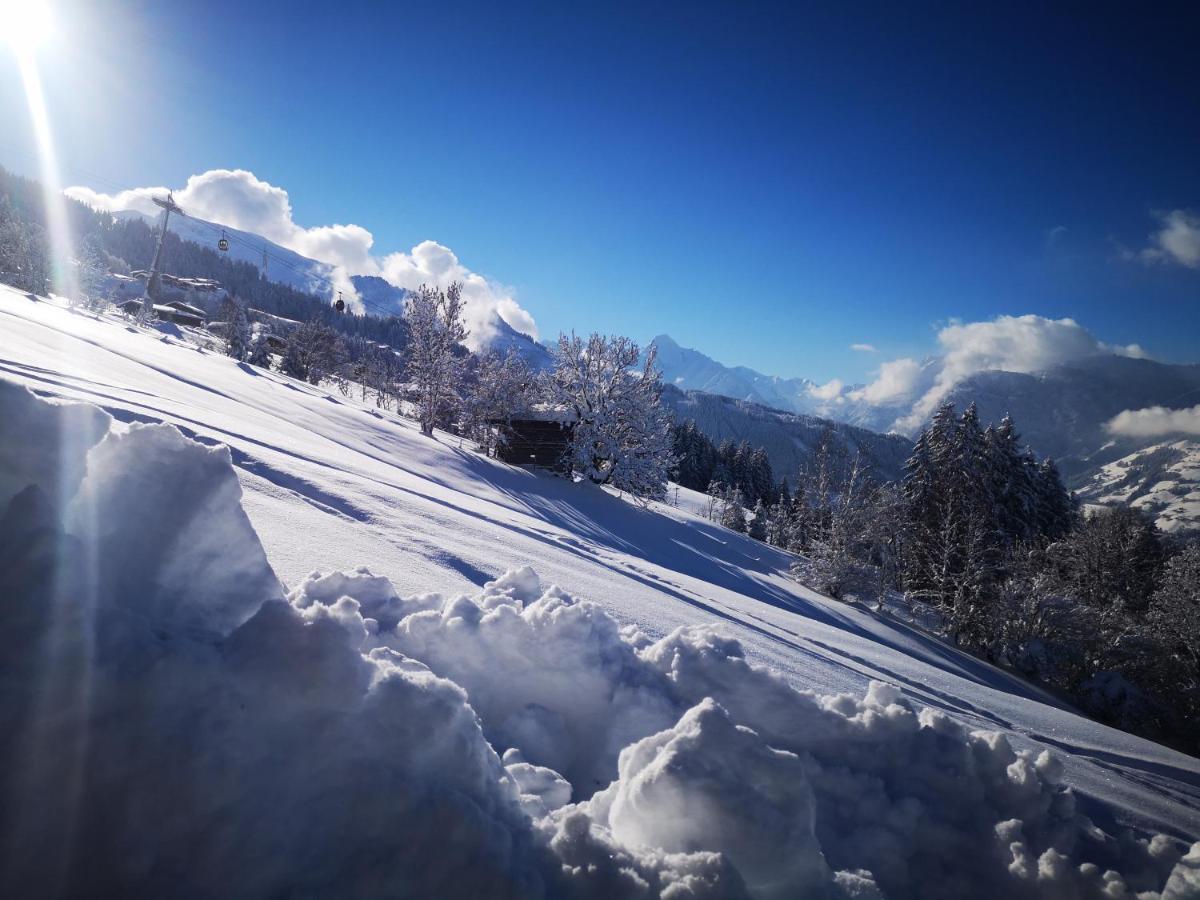 Appartement Franz Zell am Ziller Eksteriør billede