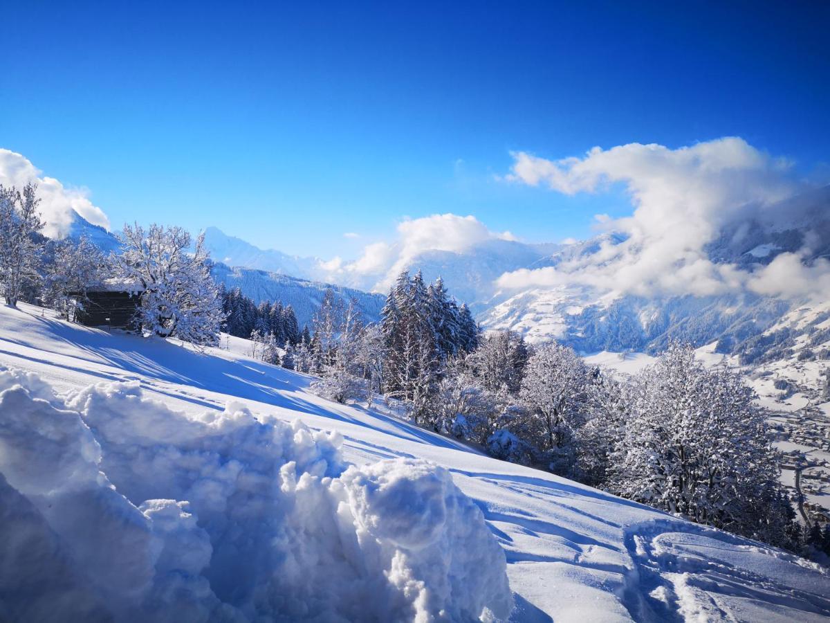 Appartement Franz Zell am Ziller Eksteriør billede